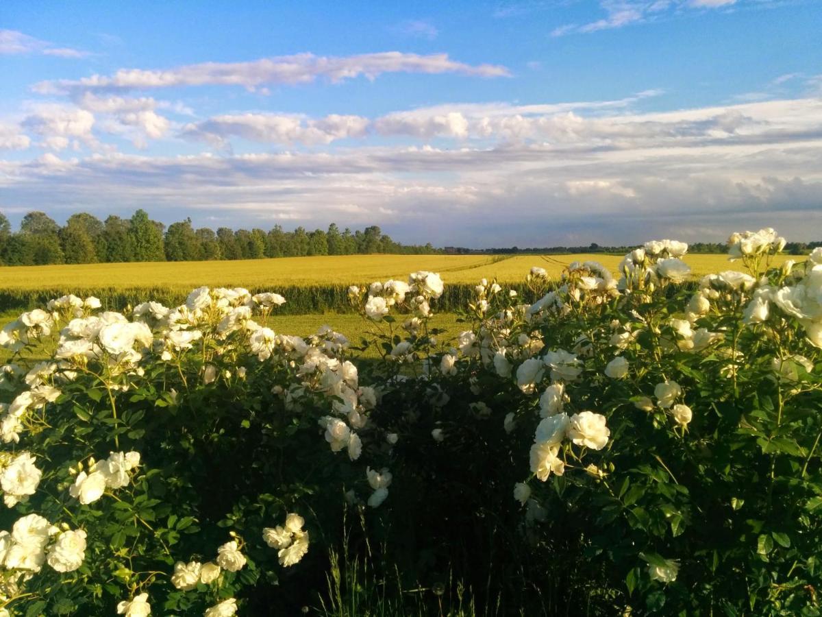 Bed and Breakfast Antica Vigna Chioggia Exterior foto